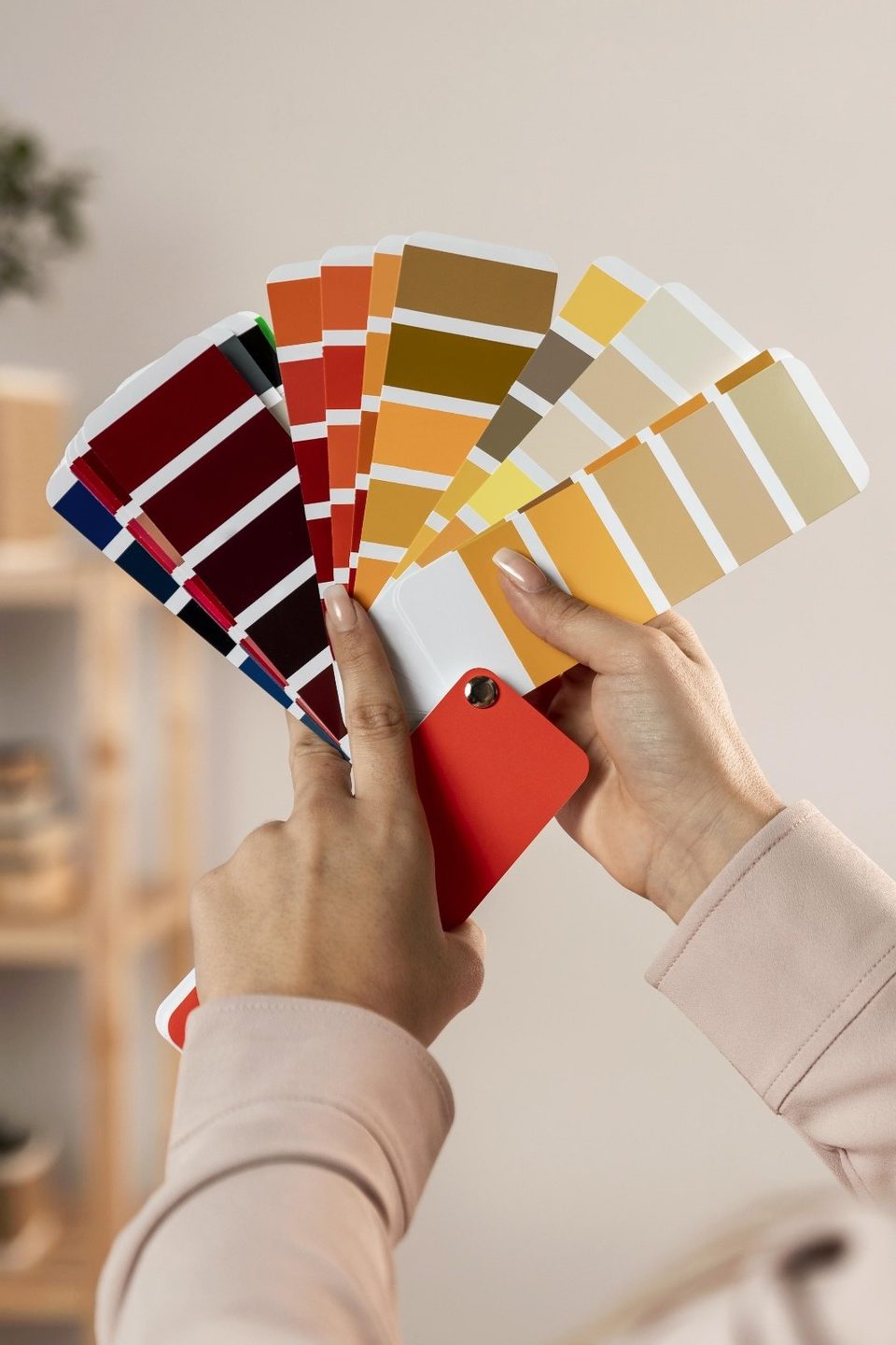 WhatsApp Image 2025-10-29 at 14.34.30